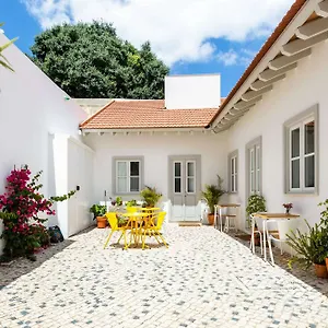 Apartment Patio Sao Vicente